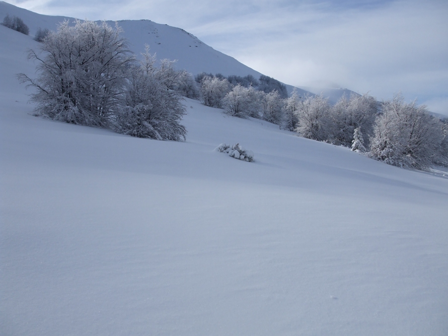 46190-cimone-2009-035x.jpg