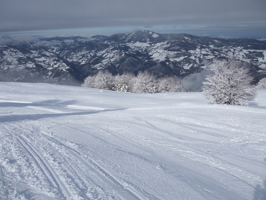 46191-cimone-2009-037x.jpg