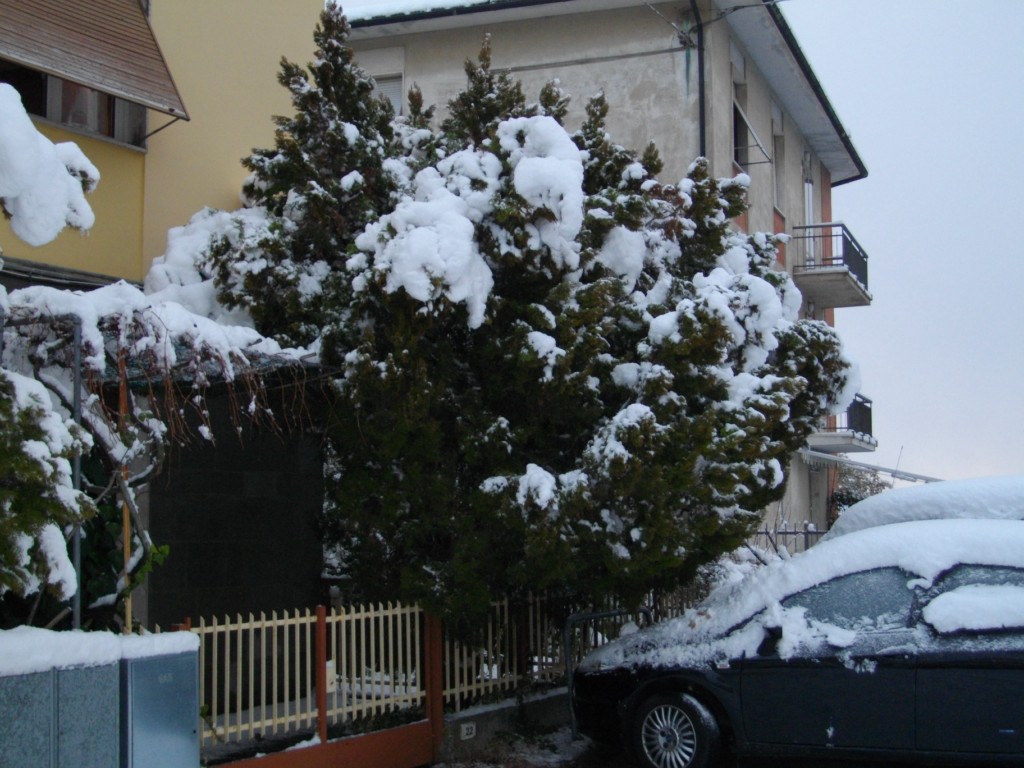 46992-imgp0573.jpg