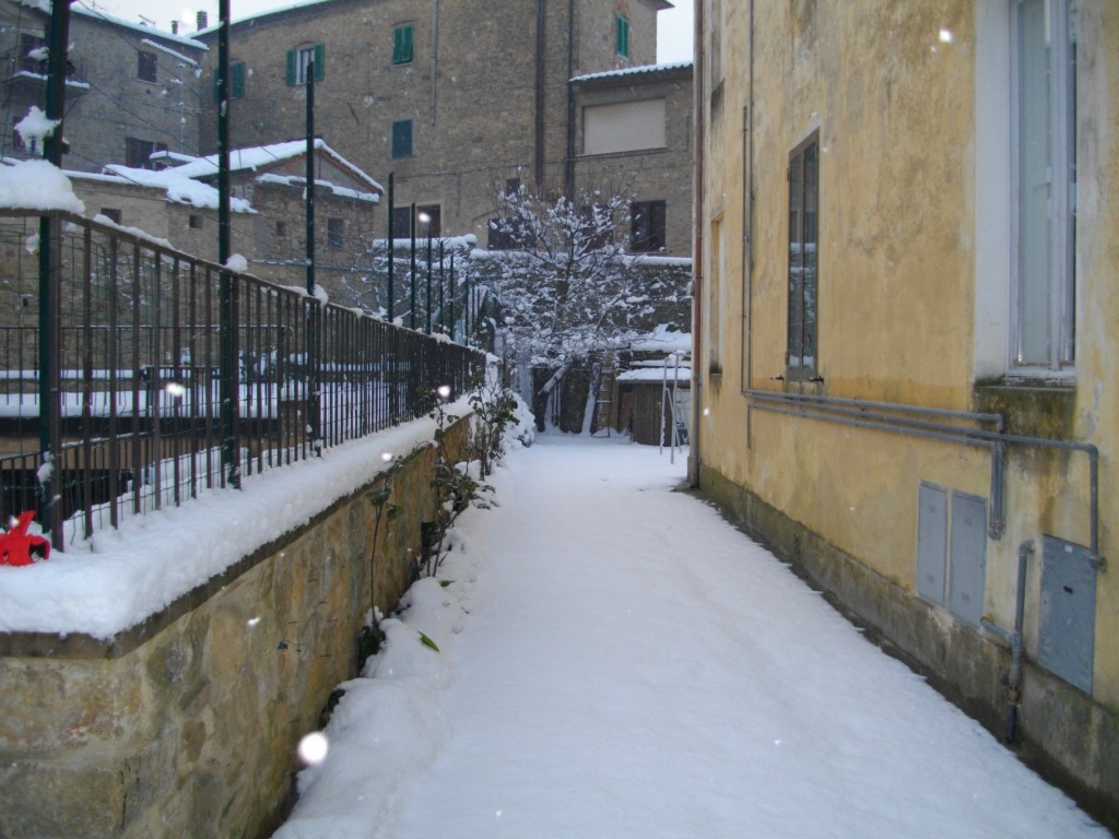 47014-imgp0592.jpg