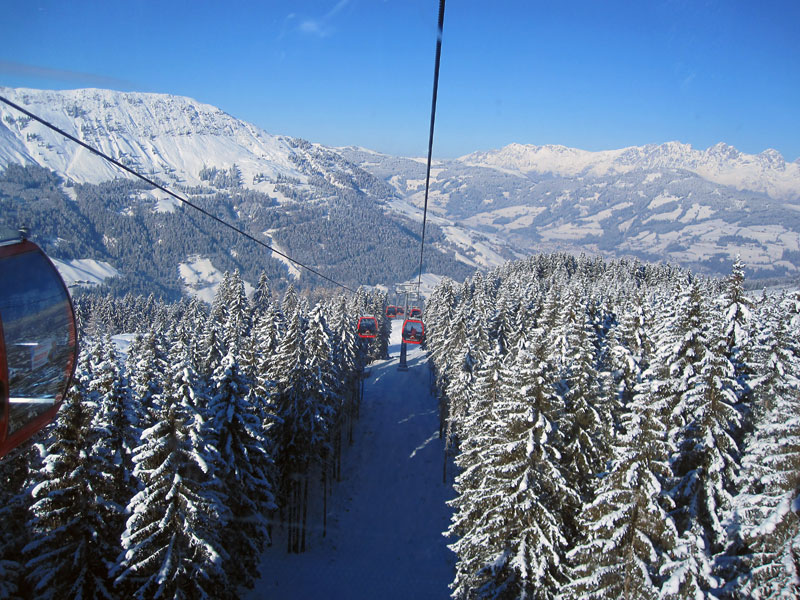 47381-001.jpg