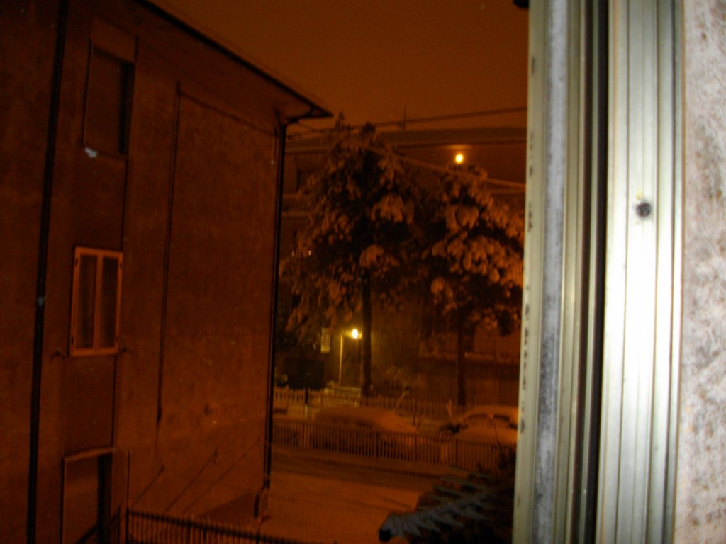 47424-imgp0560.jpg