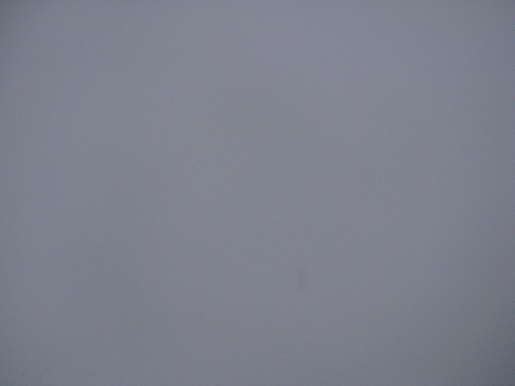 47920-2.jpg