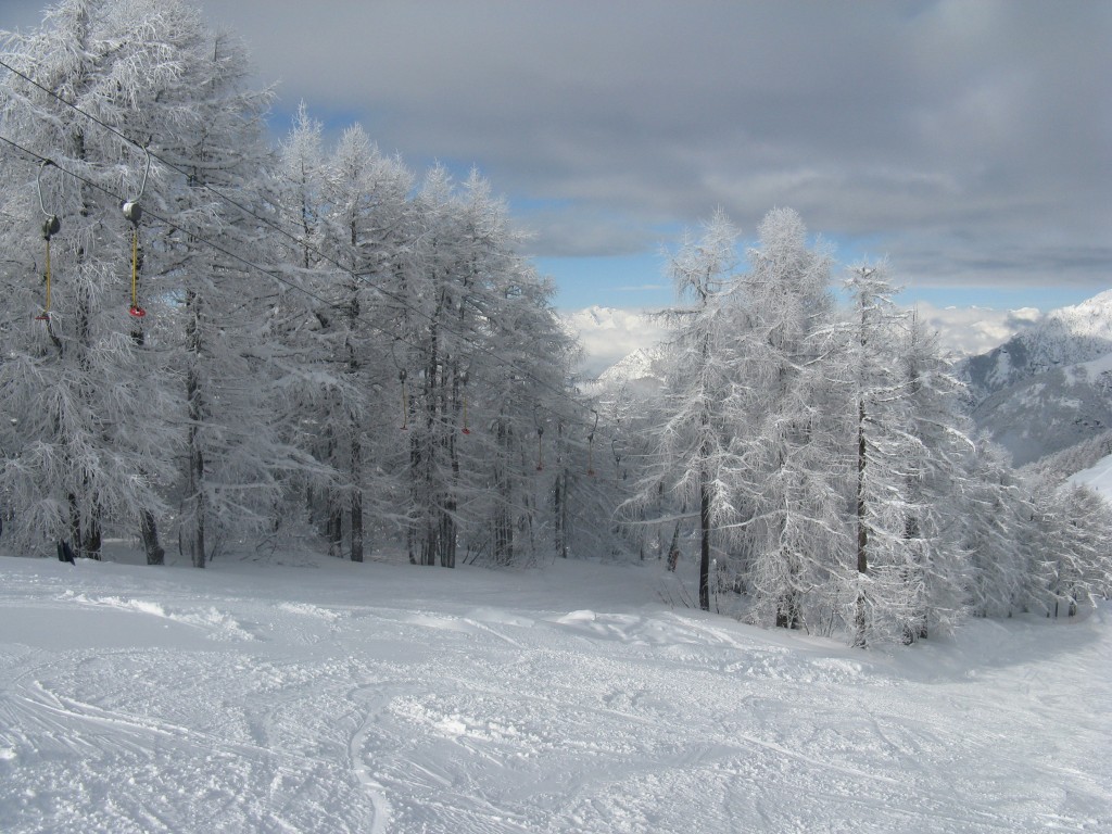 47938-24.jpg
