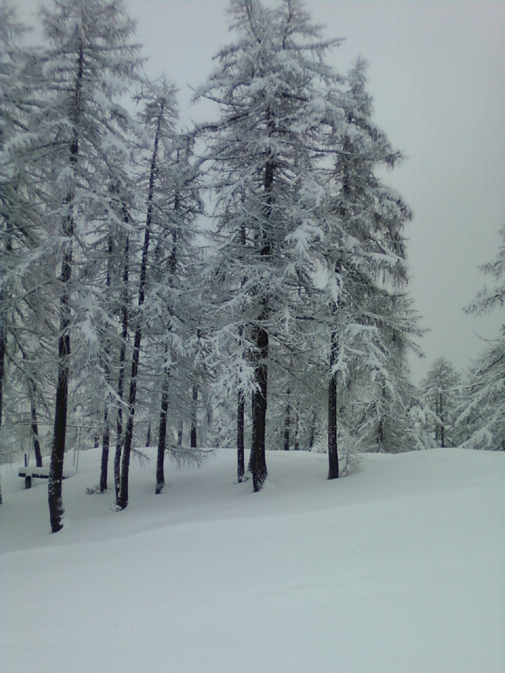 47941-27-cel.jpg