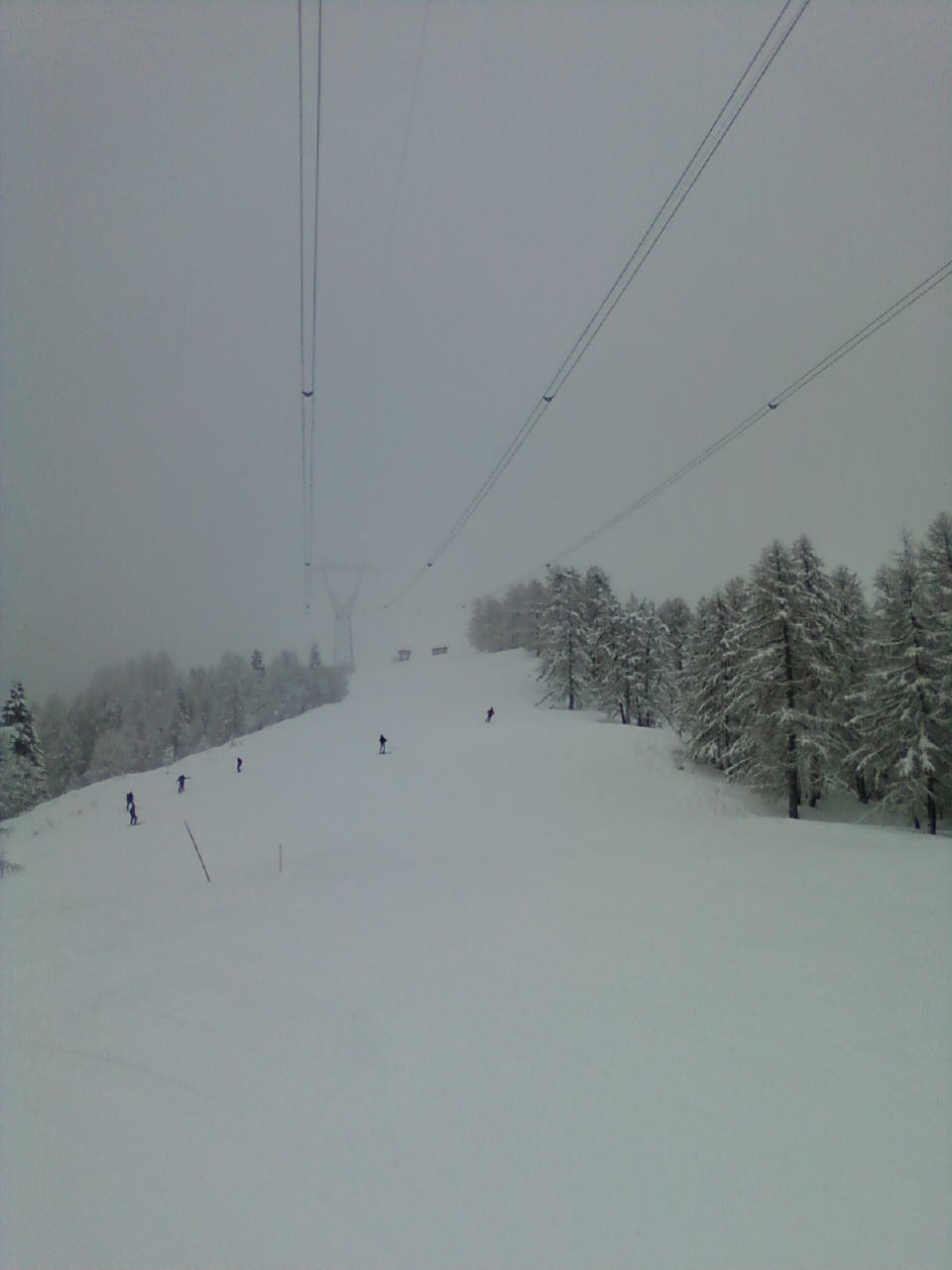47944-30-cel.jpg