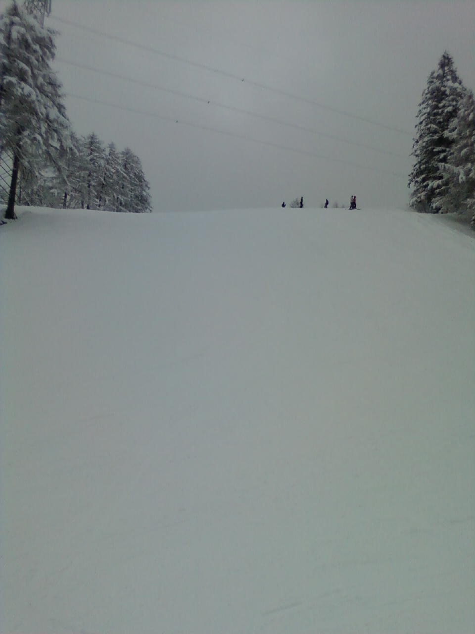 47945-32-cel.jpg