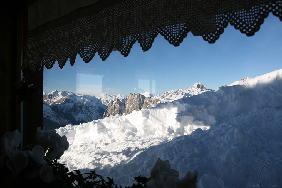 48736-wlf-rifugio.jpg
