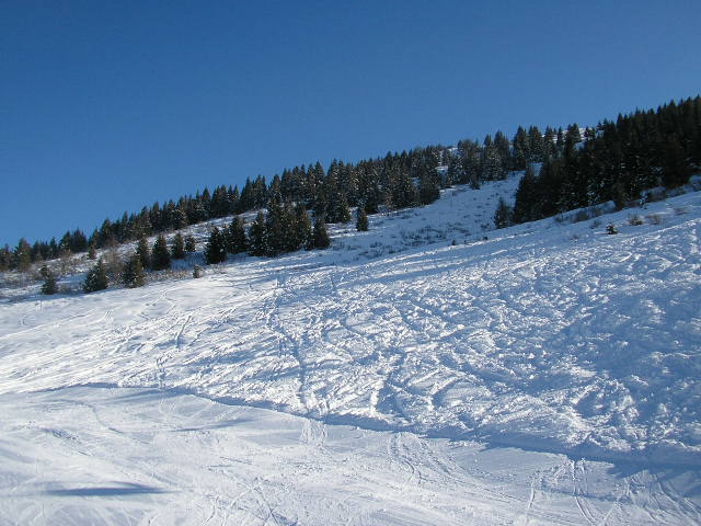 49361-immagine-183.jpg
