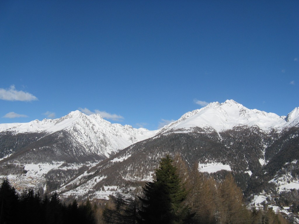 49436-10.jpg