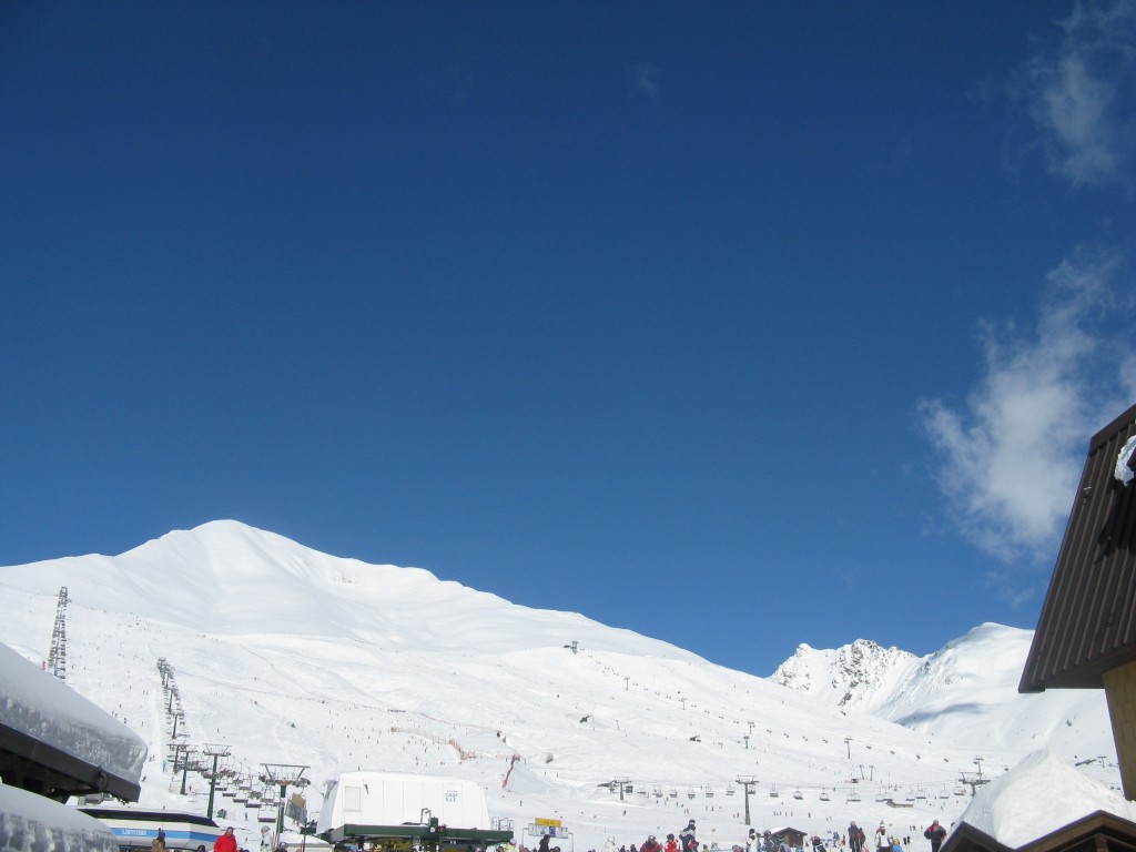 49445-20.jpg