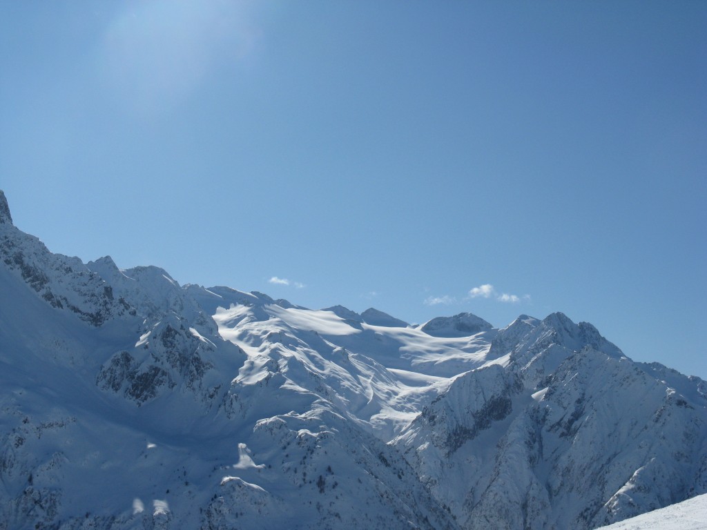 49449-24.jpg