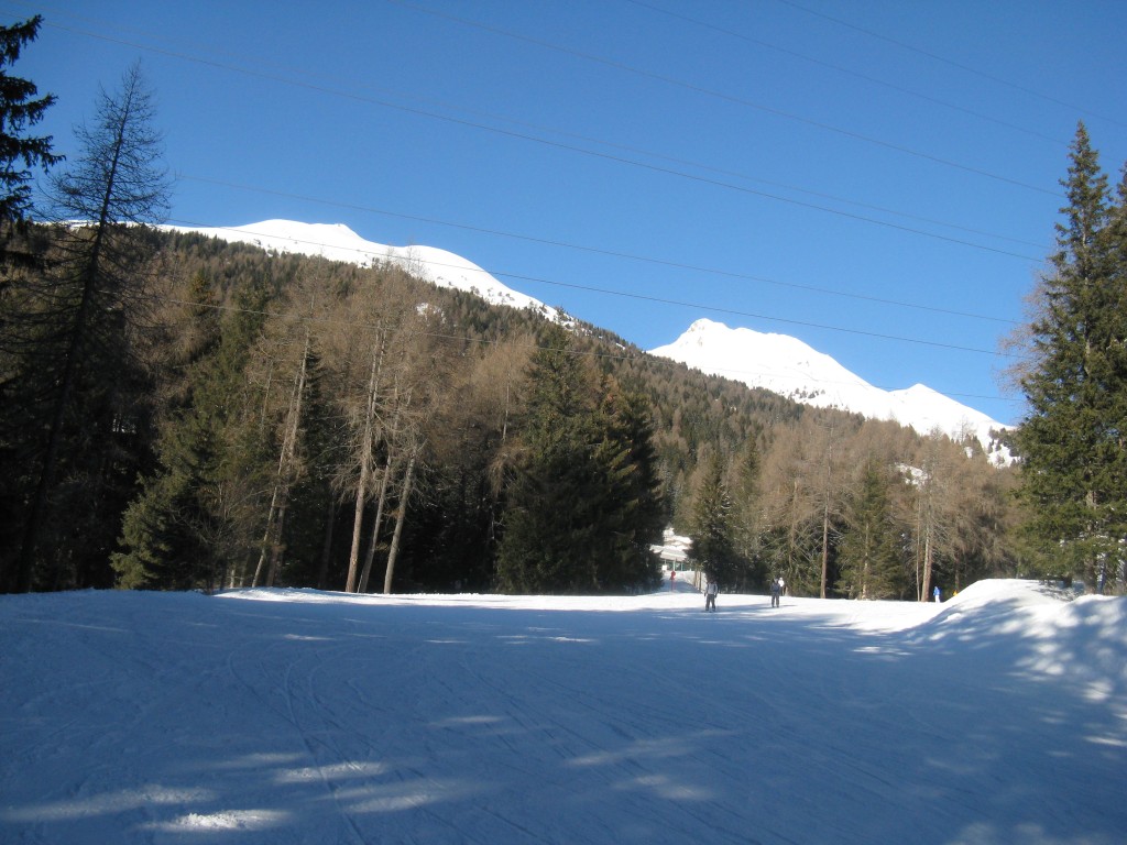 49463-38.jpg