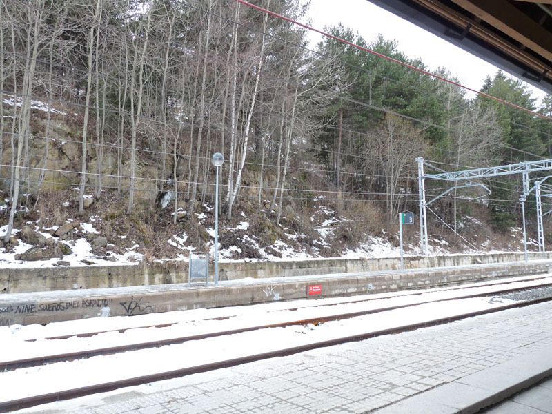 49510-p1010097.jpg