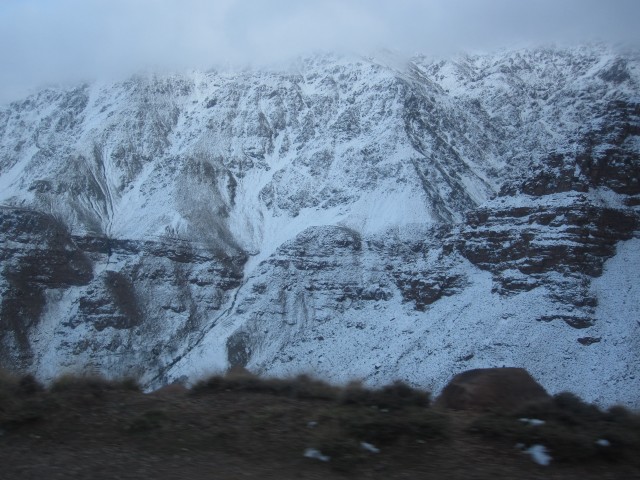 49554-img0476.jpg