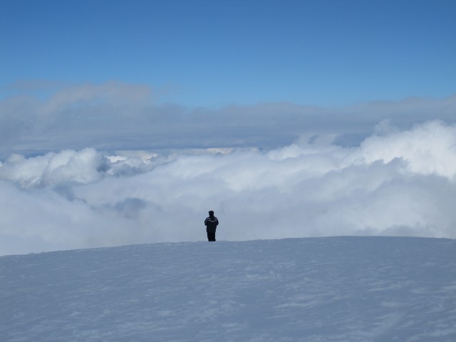 49556-img0407.jpg