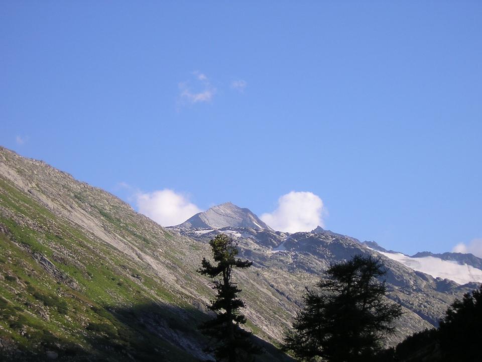 49621-wlf1.jpg