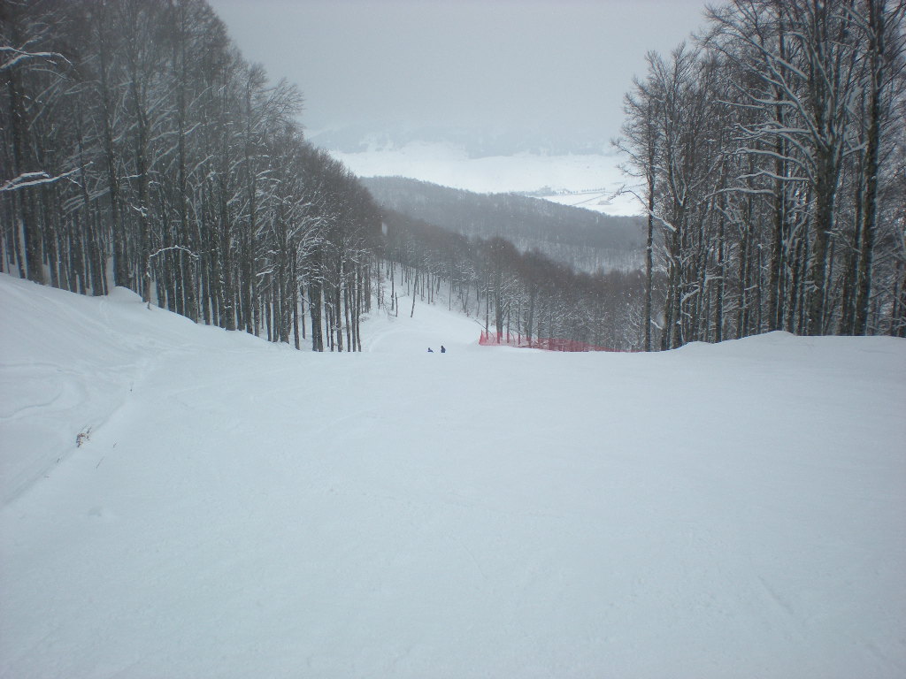 49763-dscn1402.jpg