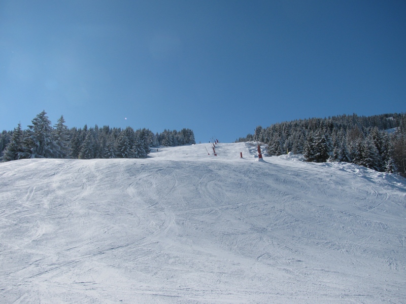 49996-img0427.jpg