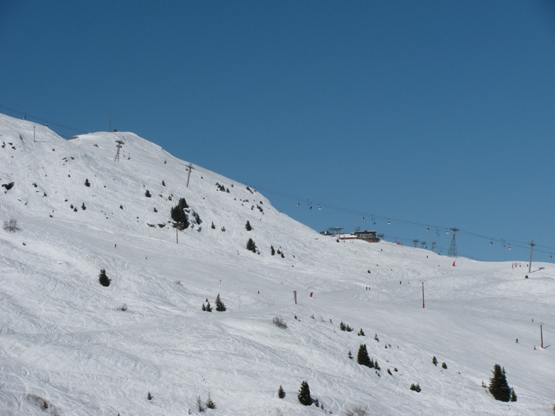 49999-img0436.jpg