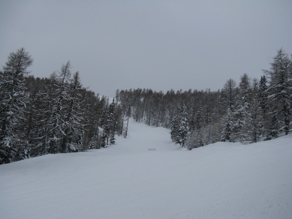 50175-13.jpg