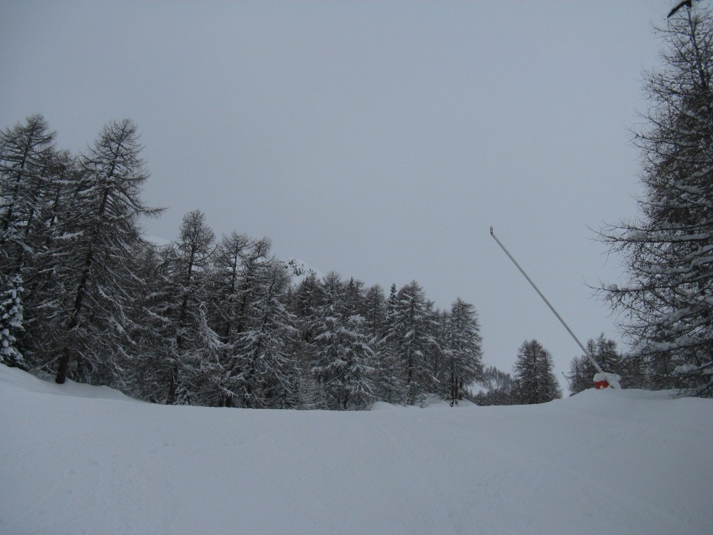 50178-15.jpg