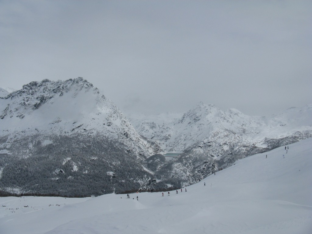 50179-16.jpg
