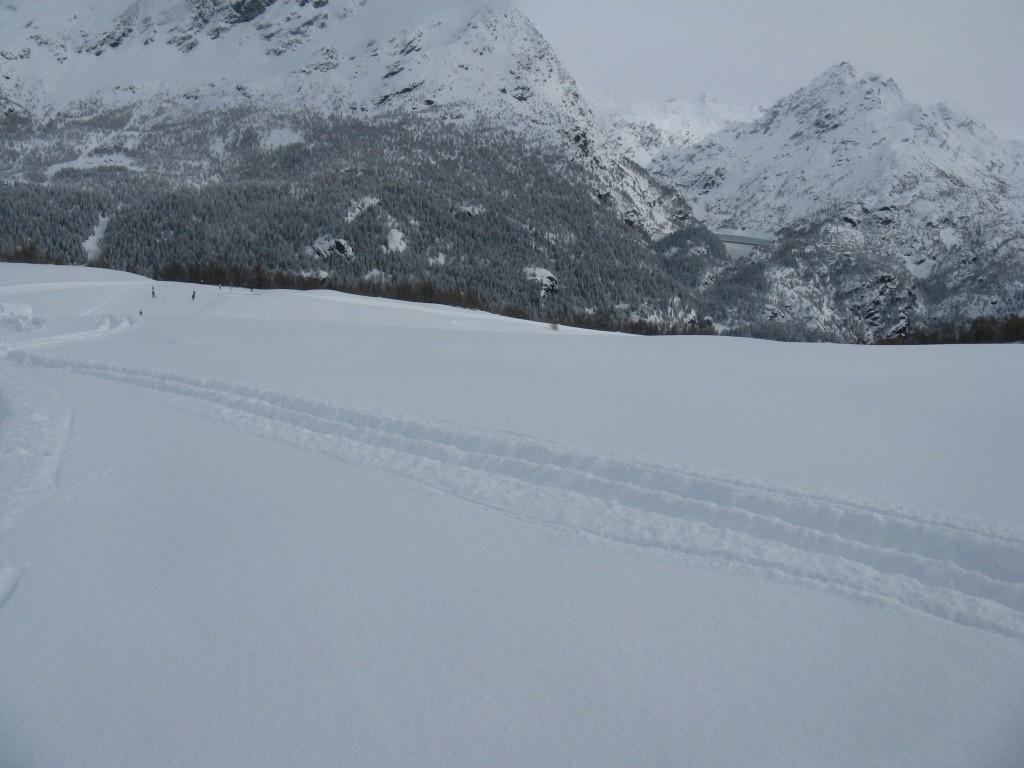50188-23.jpg