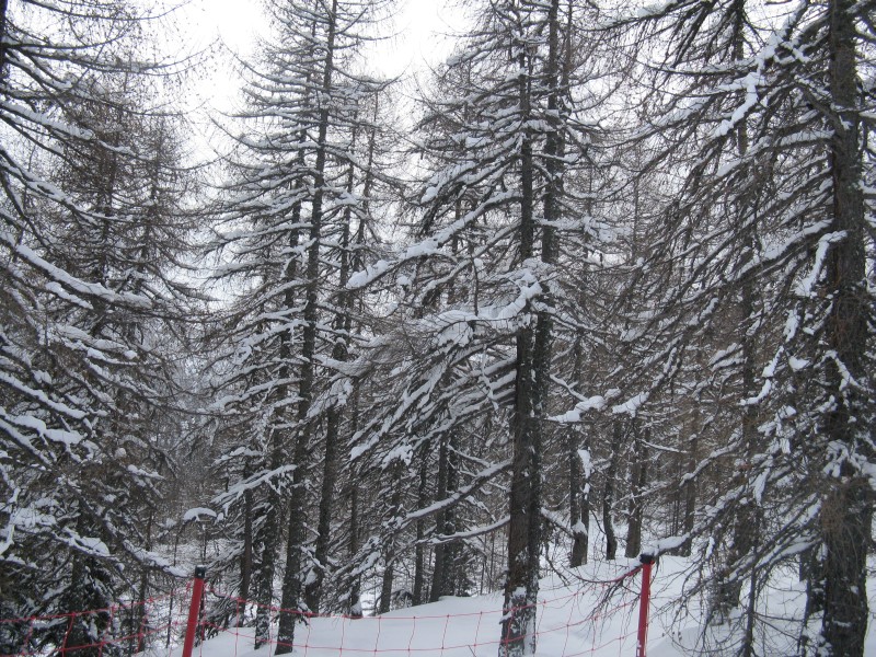 50191-25.jpg