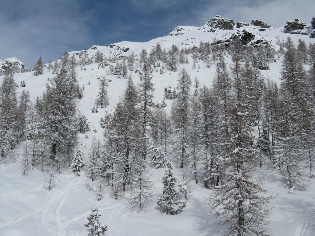 50196-29.jpg