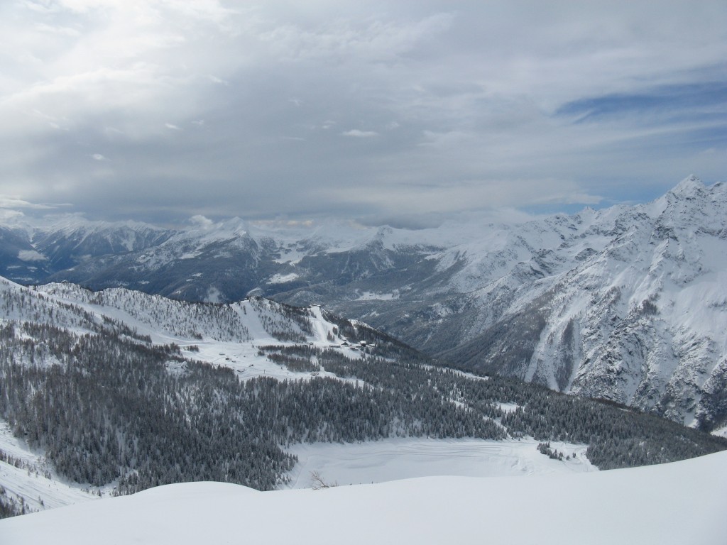 50198-31.jpg
