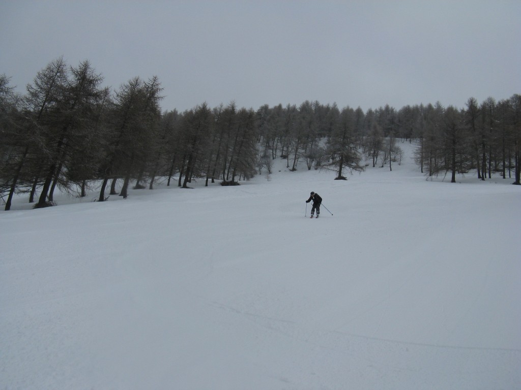 50675-24.jpg