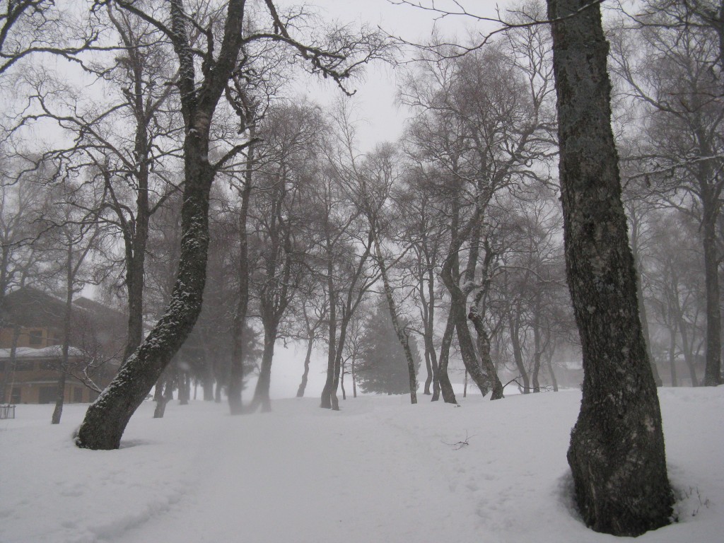 50683-32.jpg