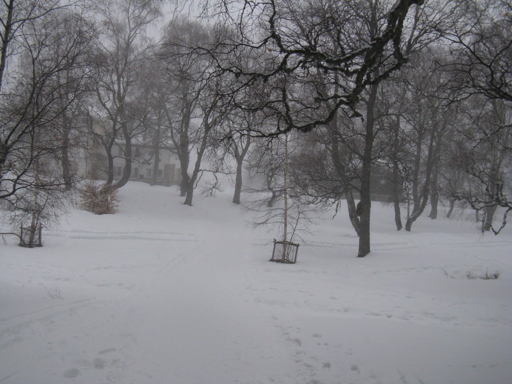 50684-33.jpg