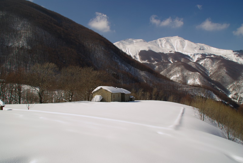51666-sg107857.jpg