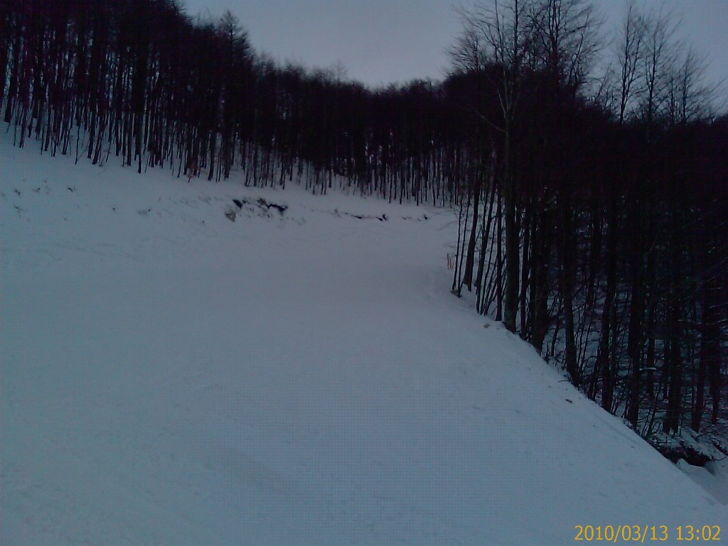 51754-imag0256.jpg