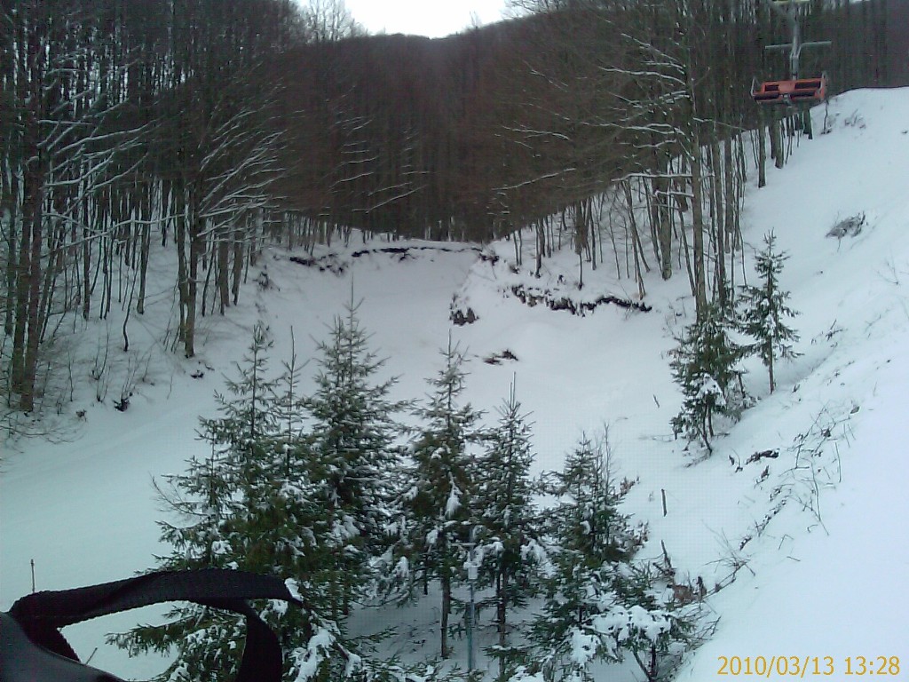 51755-imag0265.jpg
