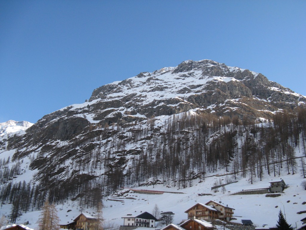 51787-img1294.jpg