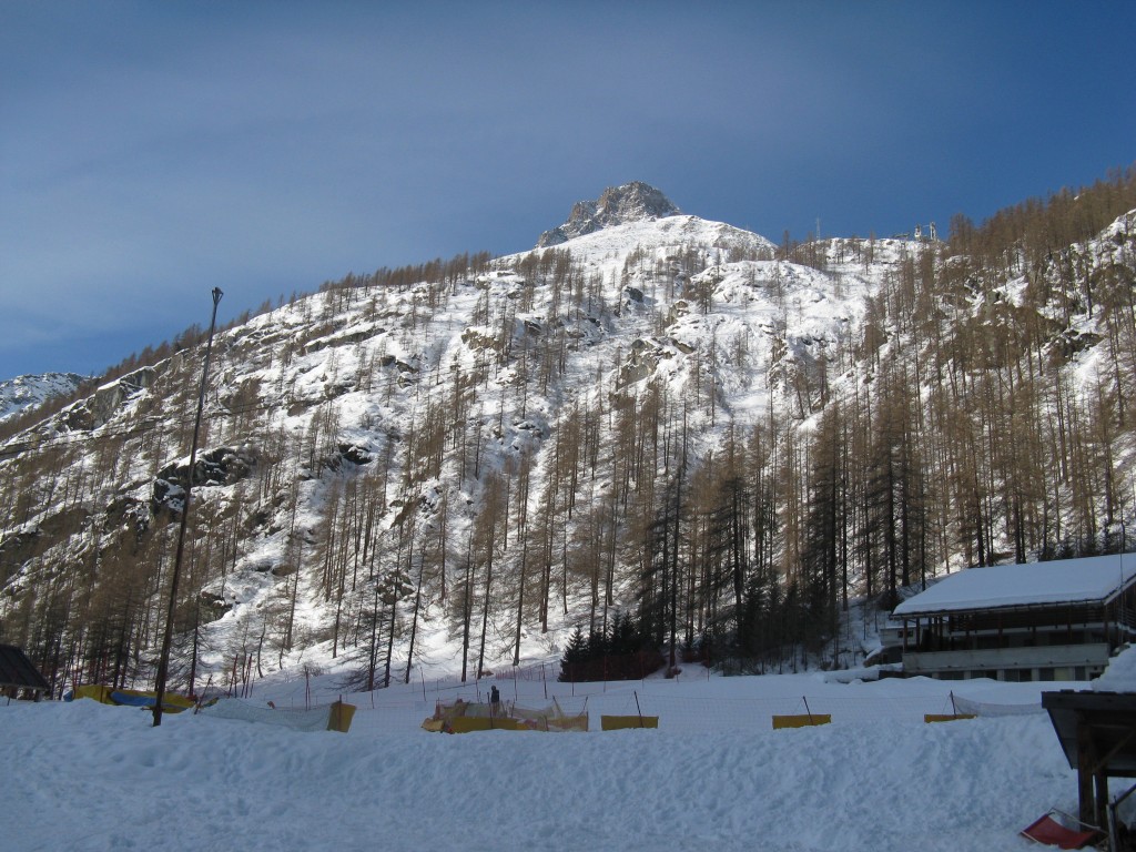 51788-img1295.jpg