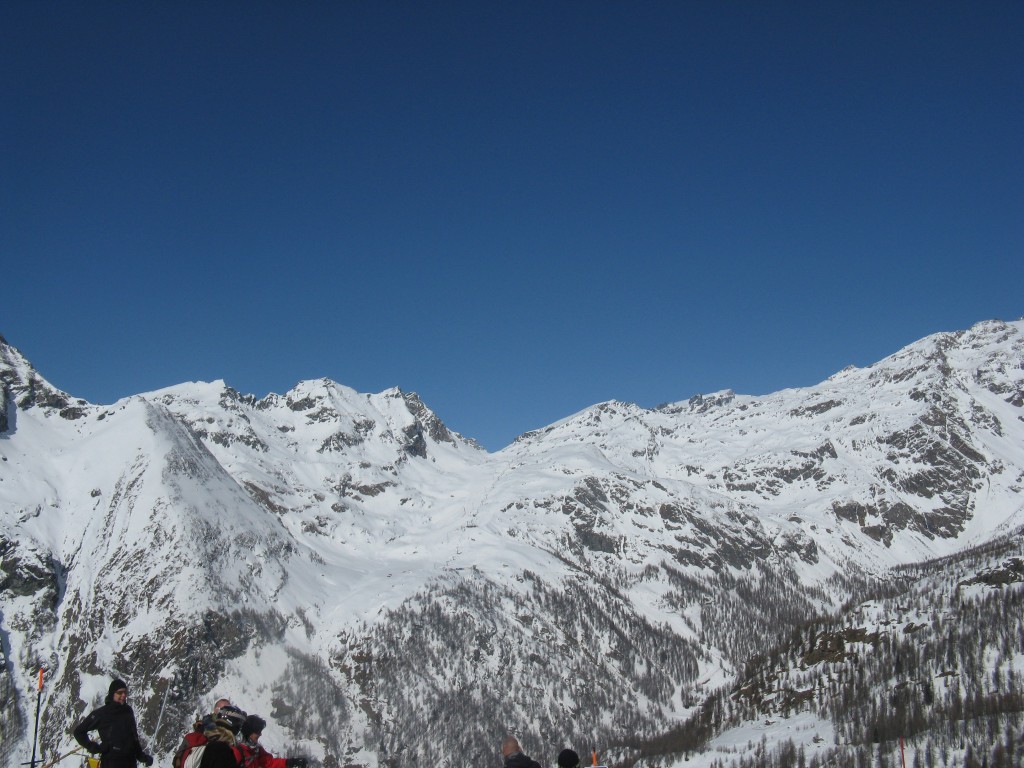51795-img1303.jpg