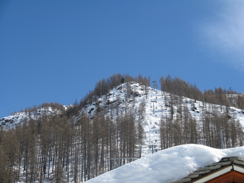 51798-img1306.jpg