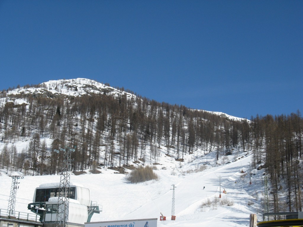 51799-img1307.jpg
