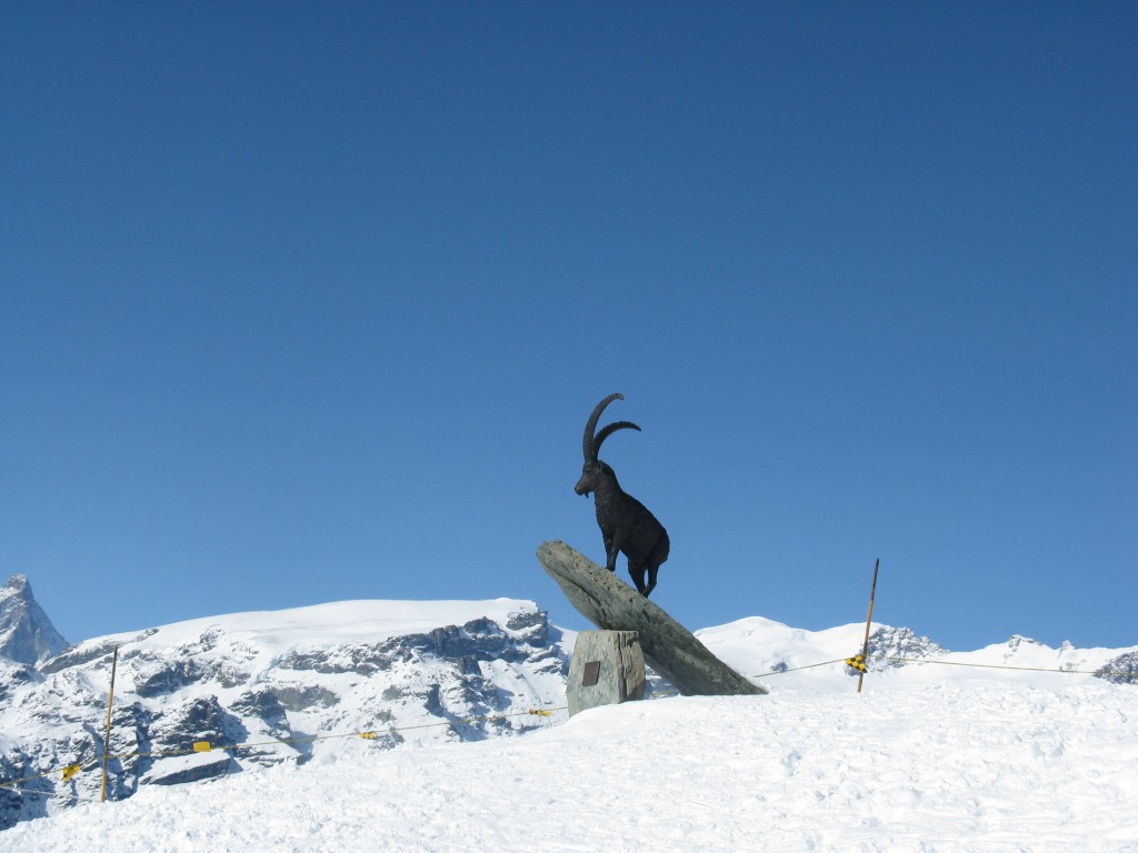 51829-img1342.jpg