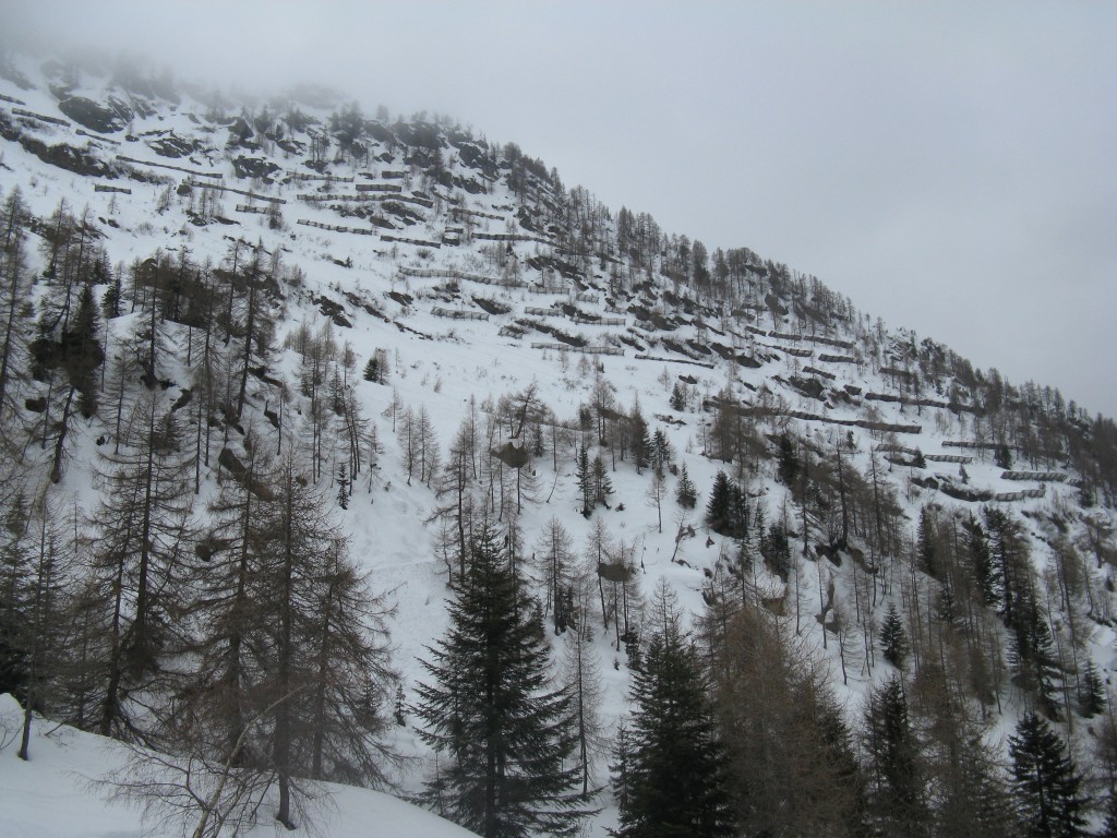 52523-img1360.jpg
