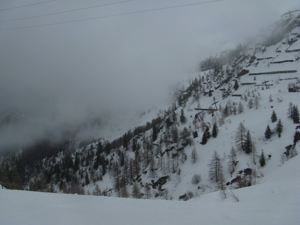 52530-img1365.jpg