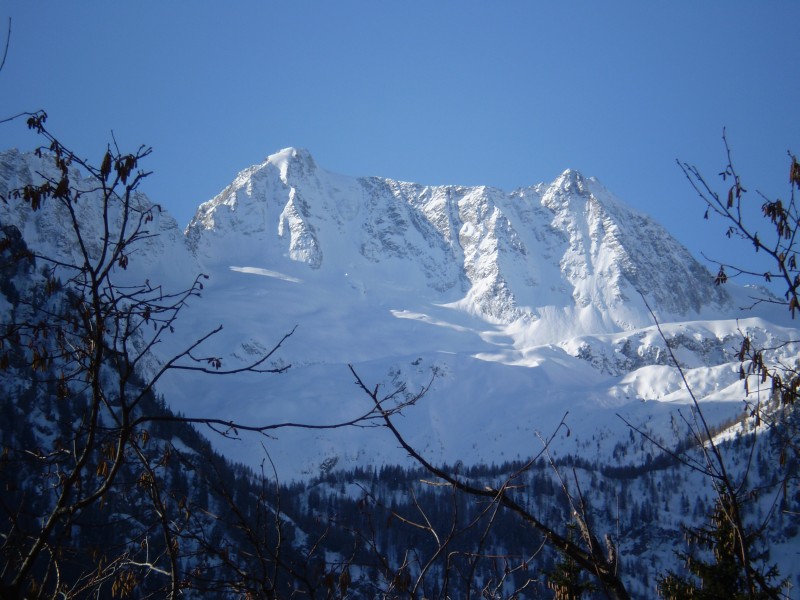 54370-presanella2.jpg
