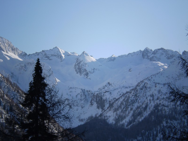 54372-presanella4.jpg