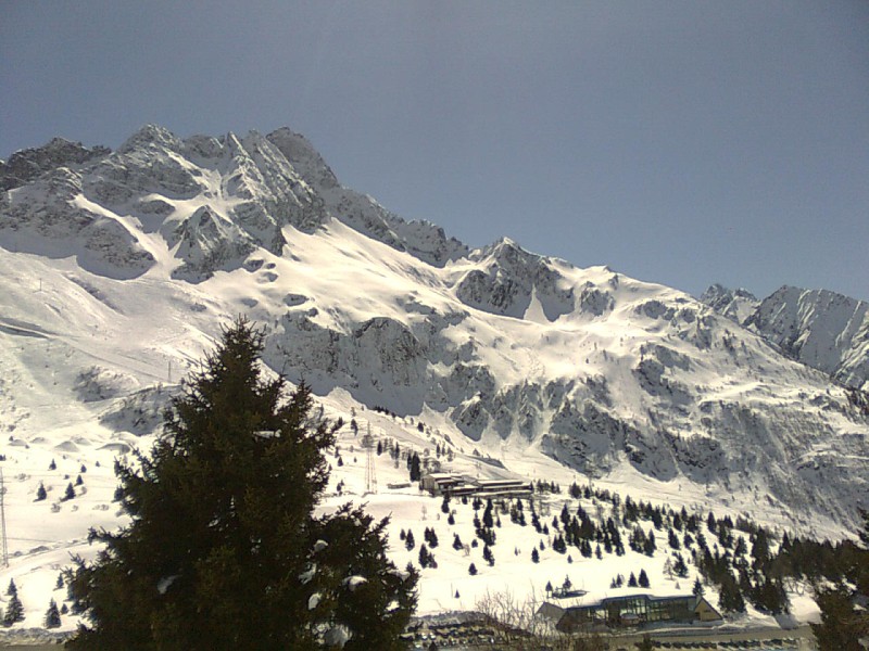 54383-pisgana5.jpg