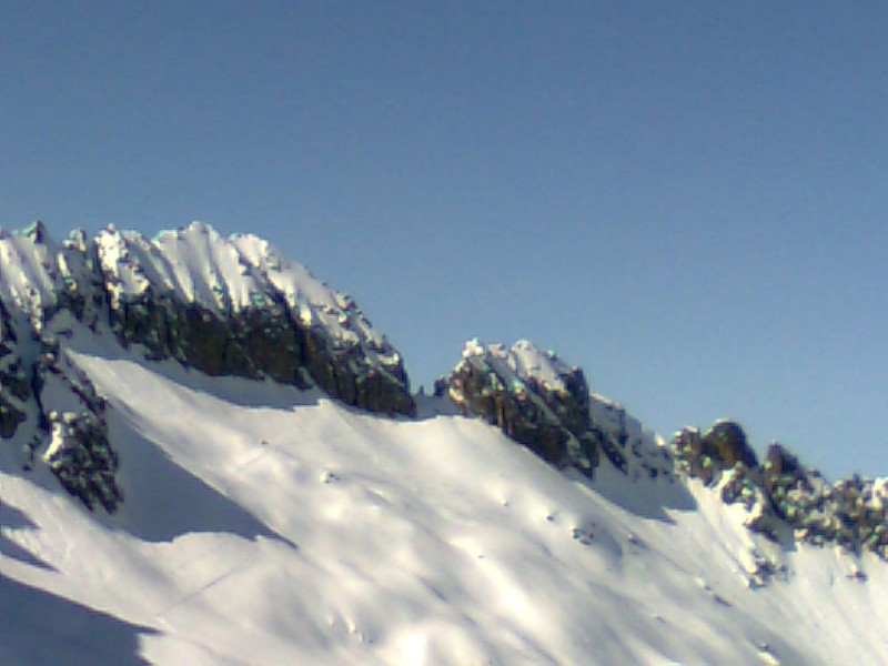 54384-pisgana7.jpg