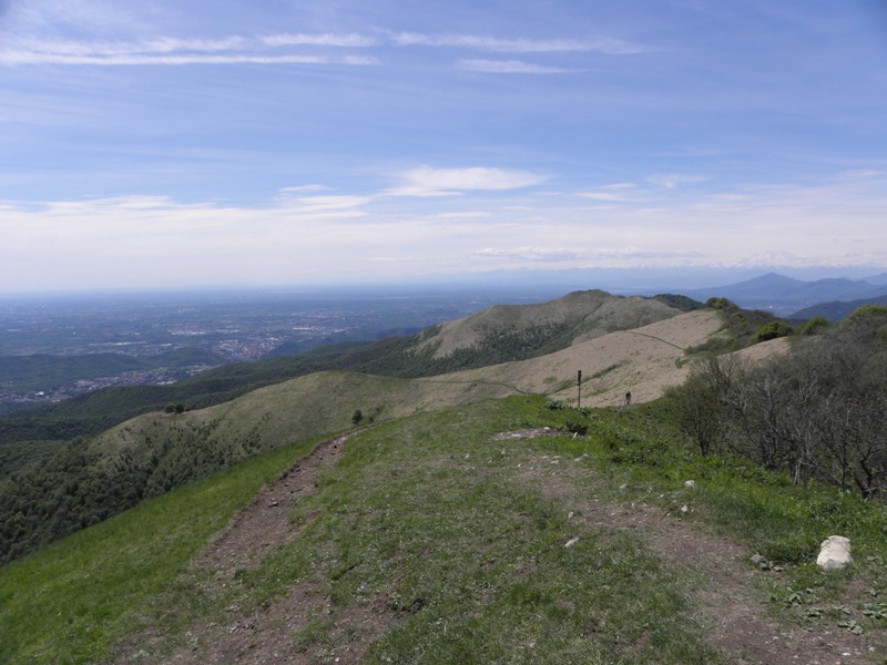 54660-copia-di-robbs-101.jpg